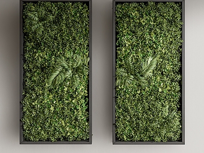 绿植墙 植物墙 绿化景墙 绿植墙