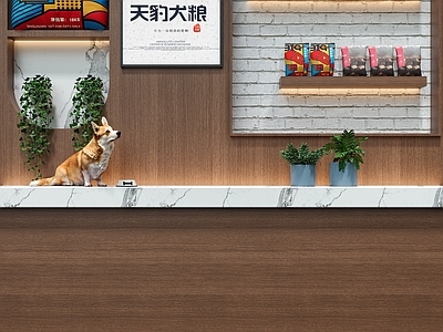 现代宠物店 宠物粮食