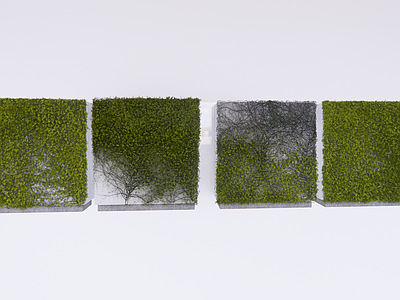 绿植墙 爬墙虎 藤曼 绿植墙 爬藤 野生植物 爬山虎 绿植墙