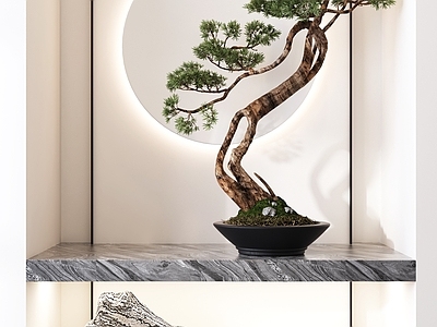新中式盆景