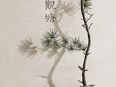新中式绿植盆景