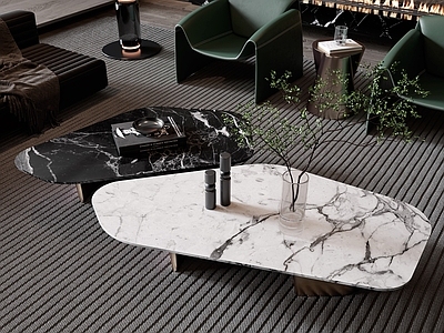 现代茶几 子母形 异形茶几 异形茶几