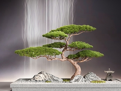 新中式松树盆景
