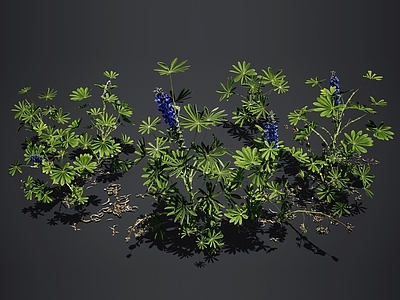 花草组合 室外景观植物