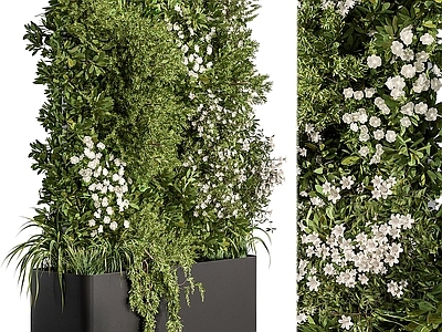 现代花箱 植物墙