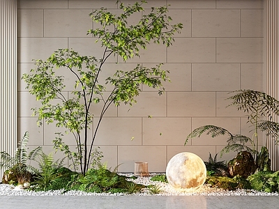 现代景观造景 植物 苔藓 月球灯 树