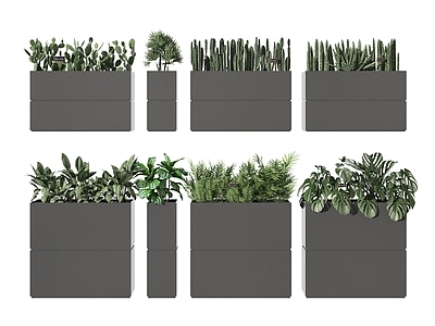 现代植物箱