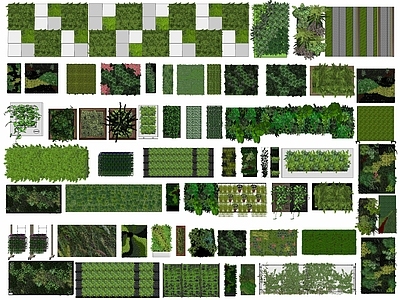 垂直绿化 绿篱墙 植物墙 绿植墙 藤蔓爬藤 花架 立体绿化 绿化墙 绿植墙