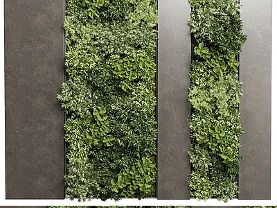 现代植物背景墙 植物墙