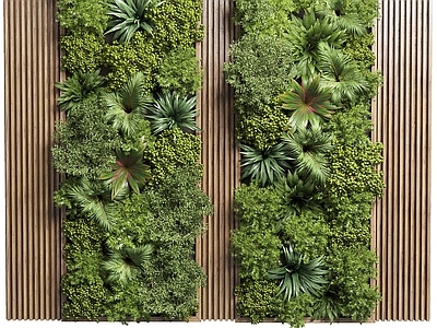 植物背景墙