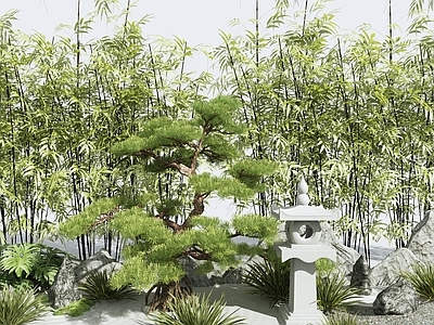 植物堆 树