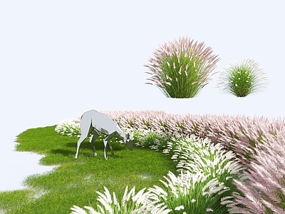 草 狗尾巴草