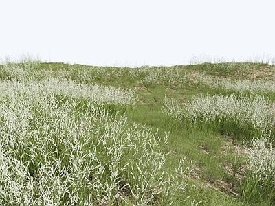 草