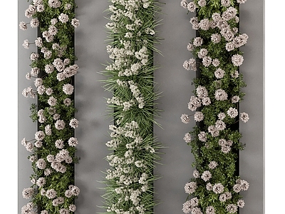 植物背景墙