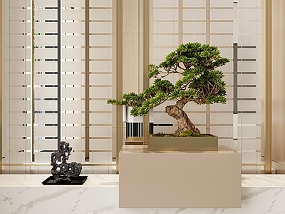 新中式植物盆景 太湖石