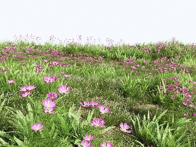 花草组合