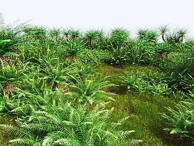 草