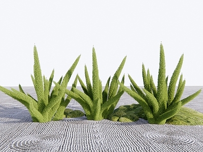 草