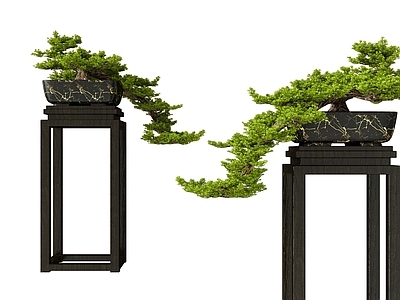 新中式松树盆景