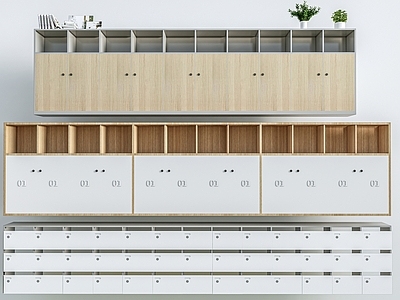 现代边柜 储物柜 装饰柜 暂存柜 更衣柜 收纳柜 木材 成人 金属