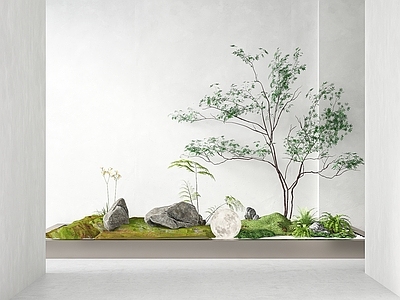 现代室内景观造景 植物堆 小品 树 蕨类植物