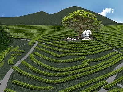 现代茶山 山坡 茶田 茶田公园 乡村景观