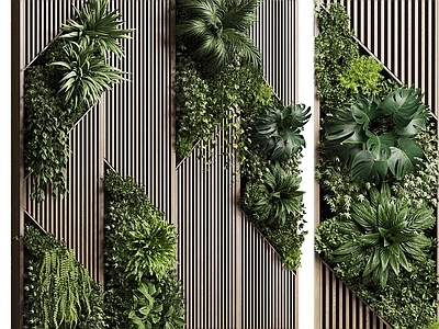 植物背景墙 墙