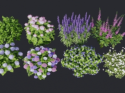 花草组合