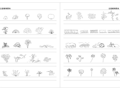 CAD常用立面景观树木 图库