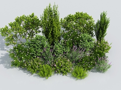 花草花卉 植物组合