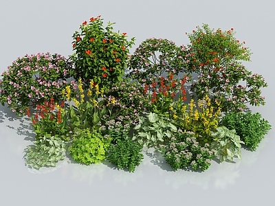 花草组合 灌木 绿化带 绿植花丛