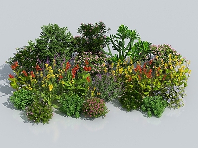 花草组合 花卉