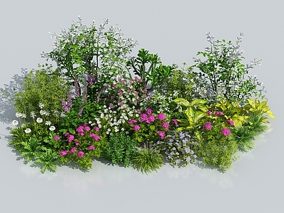 花草组合 花卉