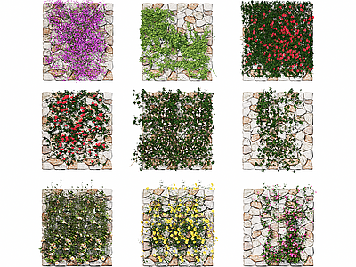 藤蔓植物 攀爬植物 植物墙 植被 花墙 院墙 景墙围墙 绿植墙