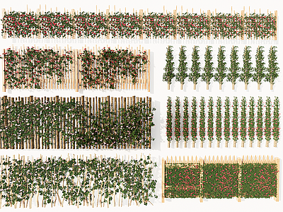 现代栅栏 篱笆 藤蔓 爬藤 蔷薇 墙体 藤曼墙体