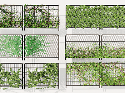 攀爬植物 爬山虎 铁丝网 藤蔓植物 栏杆 绿植墙
