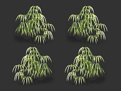 扁竹兰鸢尾 白跌打 多年生草本