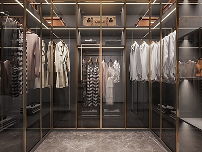 现代衣帽间 衣帽柜 衣柜 衣服摆件 行李箱 置物柜 边柜