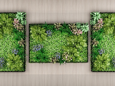 绿植墙