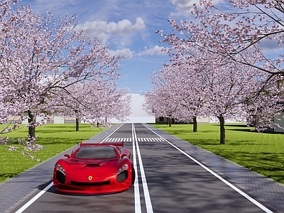现代市政道路景观 樱花大道 桃花 海棠花 梅花 城市公路 斑马线 跑车