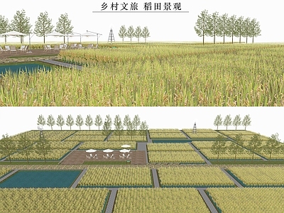 现代稻田景观 稻田 小麦 农田 农作物 水稻 麦田