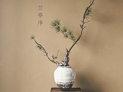 侘寂盆景