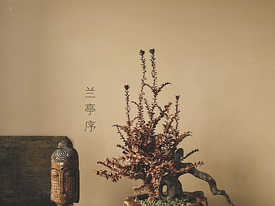 侘寂盆景