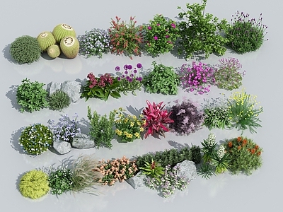 花草组合 灌木 花草 花卉植物组合