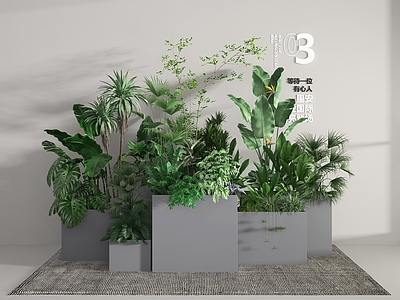 现代花箱 装饰架 展示架
