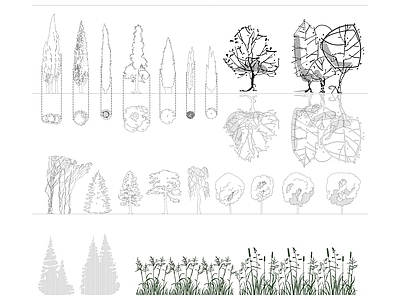 CAD立面植物 图库