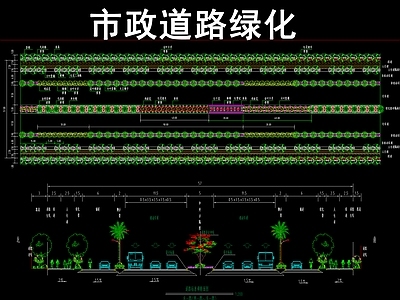 某市政道路绿化 施工图