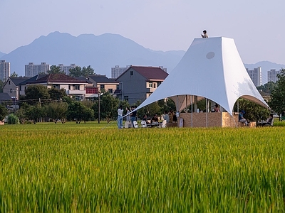 现代乡村公园 稻田塔亭 休闲平台 张拉膜