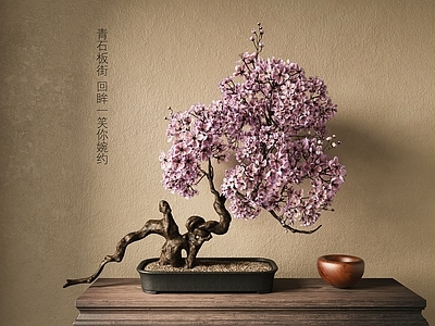 现代梅花盆景