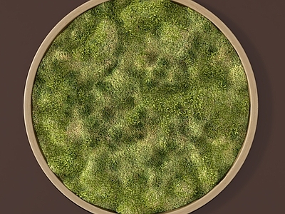 绿植墙